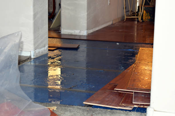 Professional Basement Flood Cleanup technician working in Ookala, HI